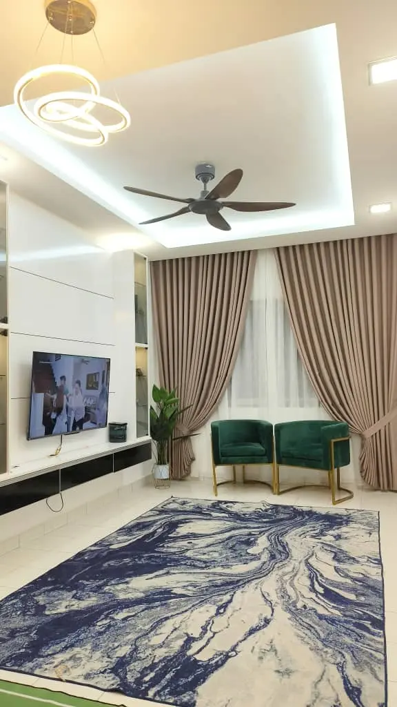 Elegant Curtains for Condo Living Room